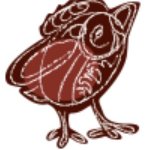 Гуцульска крафтова пивоварня "Ципа"